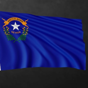 Nevada Flag Banner | United States of America Flags | High Quality Materials