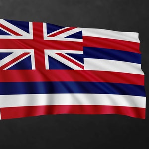 Hawaii Flag Banner | United States of America Flags | High Quality Materials
