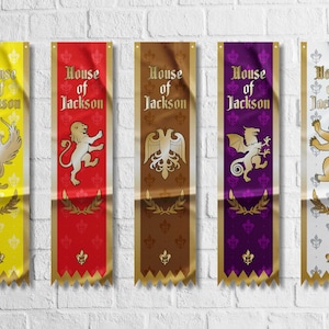 Customizable Big Size Medieval Style Family Pennants | Personalized Swallowtail Pennants | High Quality Materials | Size: 50x200 cm