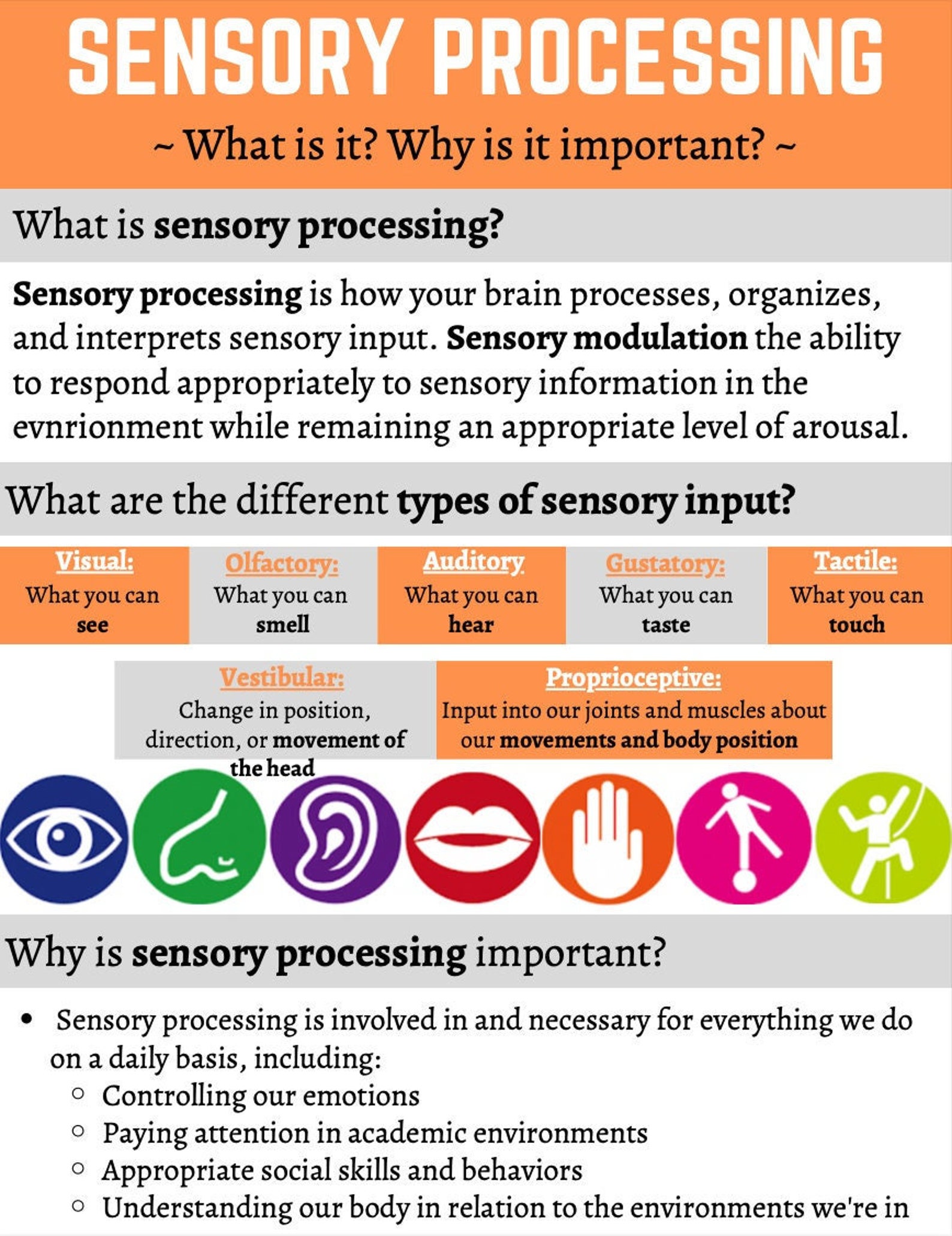 Sensory Processing Parent Handout Etsy