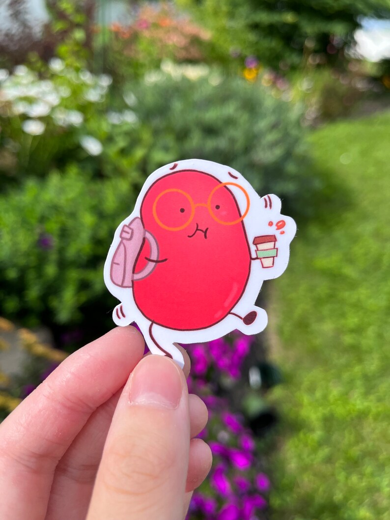 Pink Sticker Bean Late to Class Bean | Cute Vinyl Sticker - Etsy