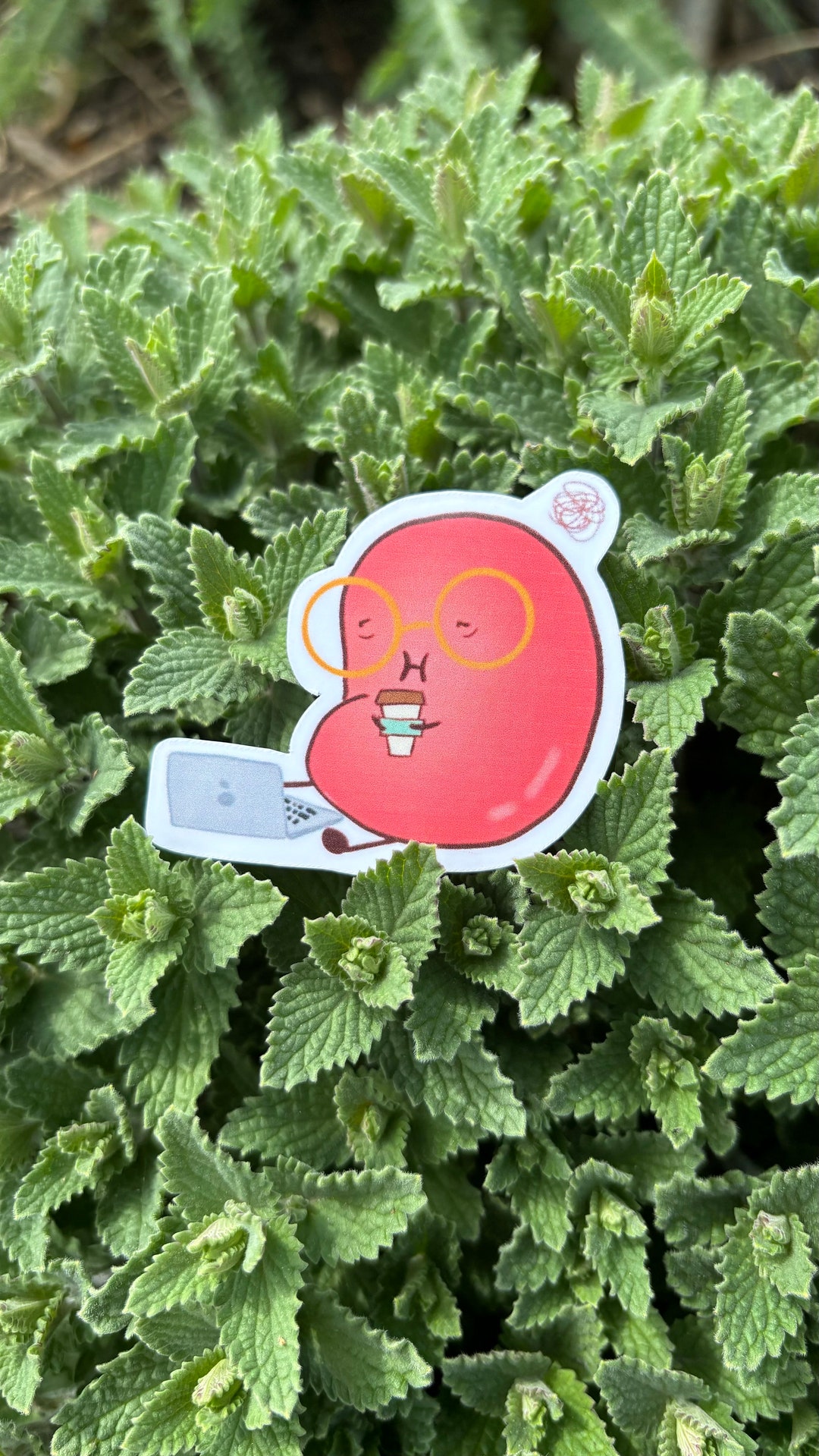 Finals Bean | Cute Vinyl Sticker - Etsy