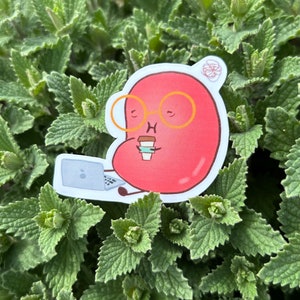 finals bean | cute vinyl sticker