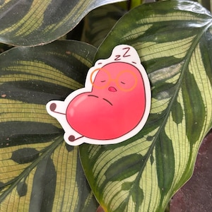 sleeping bean | cute vinyl sticker