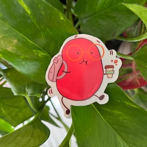 late to class bean | cute vinyl sticker