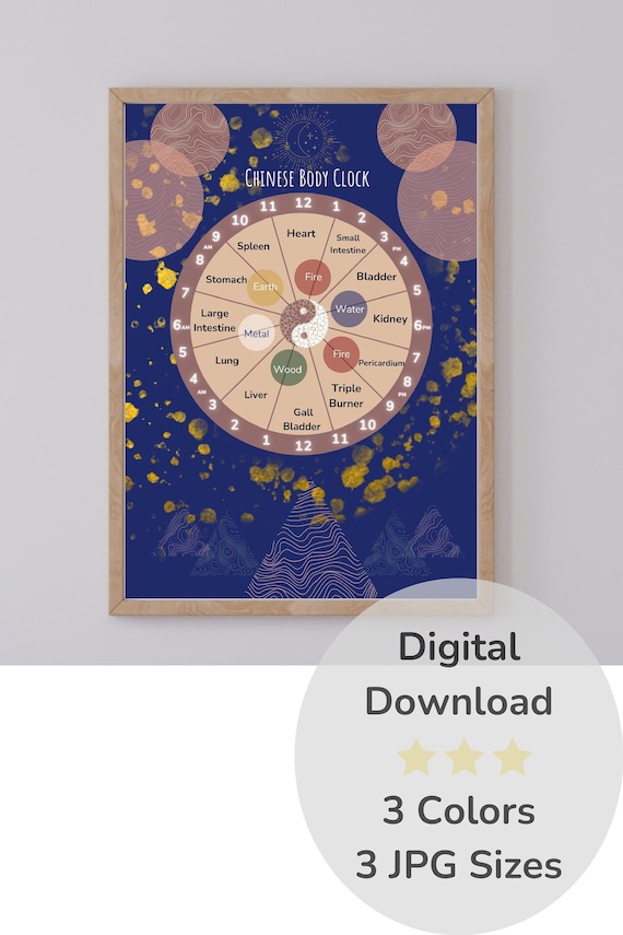 Chinese Body Clock 24 Hour Circadian Clock Poster Organ Etsy Australia