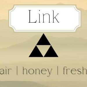 The Legend of Zelda Wax Melts and Candles: Link image 6