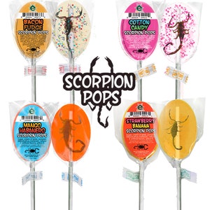 Scorpion Pops | Real Scorpions Encased in a Candy Sucker