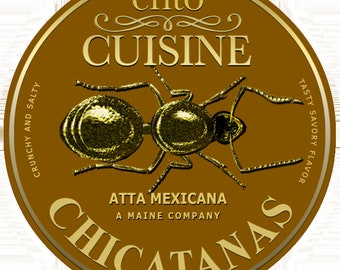 Chicatanas importati dal Messico / Insetti commestibili / Insetti commestibili