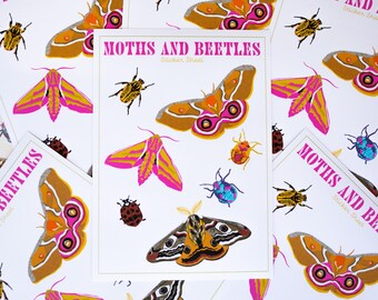 Moths & Beetles Sticker Sheet | Insect Stickers | Journal Stickers | Planner Stickers | Nature Stickers