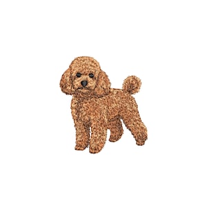 May include: An embroidered patch featuring a brown poodle dog with curly fur, dark eyes, and a black nose. The dog is standing in a side profile view with its tail curled upward, showcasing detailed stitching that mimics the texture of poodle hair.