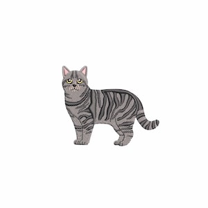 Mini British Shorthair Tabby Cat embroidery design, Machine embroidery designs, Embroidery pattern, Embroidery files, Pet embroidery