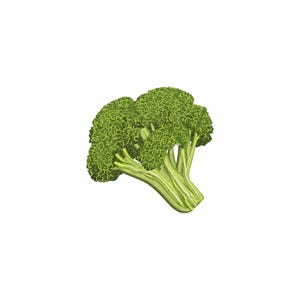 May include: A detailed illustration of a fresh broccoli floret. The broccoli is a vibrant green colour, with a textured surface. The stem is a lighter green, and the overall image is set against a clean white background. Suitable for food-related content.