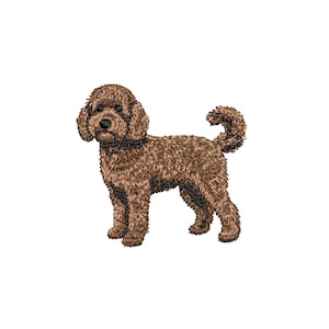 Broderidesign för Goldendoodle, Hundbroderifiler, Broderimönster för Husdjur, Maskinbroderidesigner