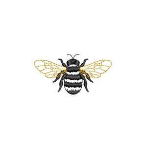 May include: A black and white striped bee with gold wings. The bee is in flight with its wings spread out.