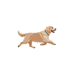 Puede incluir: Imagen bordada de un perro Golden Retriever corriendo hacia la derecha. El perro es de color canela con un collar azul y una nariz negra. La imagen está sobre un fondo blanco.