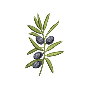 Könnte beinhalten: Ein grüner Olivenzweig mit vier schwarzen Oliven. Der Zweig hat viele kleine Blätter.