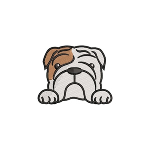 Mini Bulldog inglese ricamo design, ricamo animale, ricamo animali domestici, ricamo macchina mini cane, download digitale