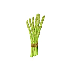 Op de afbeelding: Een bosje verse asperges met heldergroene stelen en punten. De asperges zijn samengebonden met bruin touw, wat een natuurlijke en rustieke uitstraling geeft. De afbeelding staat tegen een witte achtergrond.
