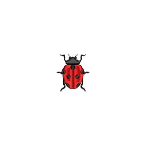 May include: A red ladybug with black spots and black legs. The ladybug is facing the viewer.