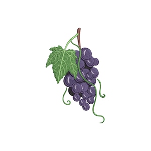 Pode incluir: Imagem bordada de um cacho de uvas roxas com uma folha e gavinhas verdes. As uvas são de uma cor roxa profunda, e a folha é de um verde vibrante. As gavinhas são de um verde mais claro, e o caule é castanho.