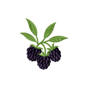 Peut inclure: Motif brodé représentant trois mûres mûres de couleur violet foncé. Les baies sont attachées à une tige verte avec trois feuilles vertes. Le motif est sur fond blanc.