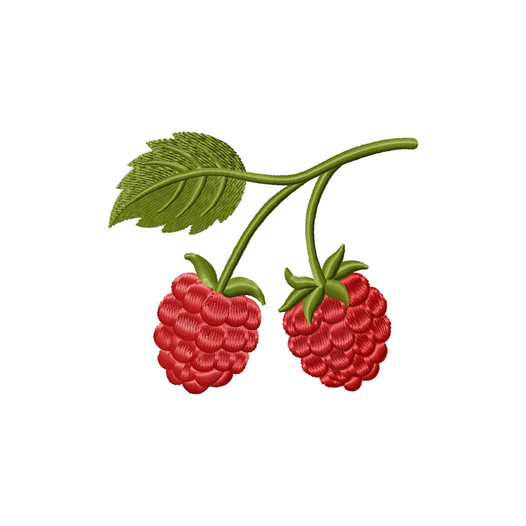Raspberry Embroidery Design, Machine Embroidery Designs, Embroidery ...