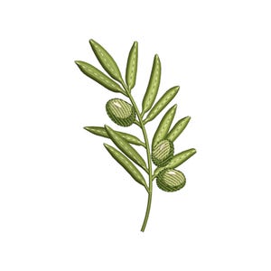 以下が含まれることがあります： 緑色のオリーブの枝に3つのオリーブの実がなっています。枝には小さな葉がたくさんあり、オリーブの実の色は薄い緑色です。