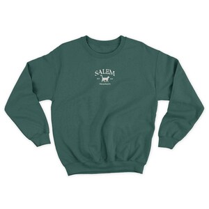 K&ouml;nnte beinhalten: Ein dunkelgr&uuml;ner Pullover mit einem wei&szlig;en gestickten Design auf der Vorderseite. Das Design zeigt das Wort "SALEM" mit einer Katzensilhouette und dem Text "est. 1626" und "Massachusetts".