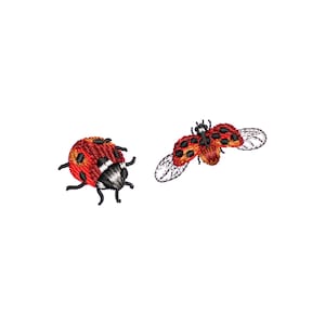 May include: Two embroidered ladybugs, one with wings spread out and the other with its wings closed. Both ladybugs are red with black spots.