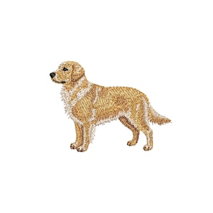 golden retriever embroidery design realistic dog portrait detailed stitch pattern machine embroidery file dog embroidery design