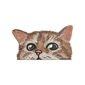 Diseños de bordado a máquina de gatos, diseños de bordado de bebés, patrones de bordado, archivos de bordado, bordado de animales, descarga digital