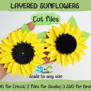 Modèles de tournesol 2 styles. Fichiers pour Cricut, Silhouette et Brother. Fichiers coupés SVG. Tournesols en papier en couches 3D. Fichiers de téléchargement instantané