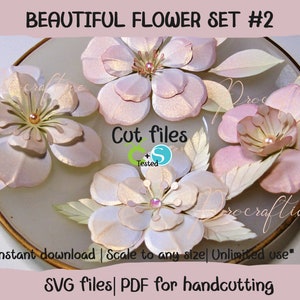 Wunderschöne Apfelblüten-Blumenvorlagen für Cricut, Silhouette und Brother. SVG-Schnittdateien. 3D-geschichtete Papierblumen. Sofortdownload.