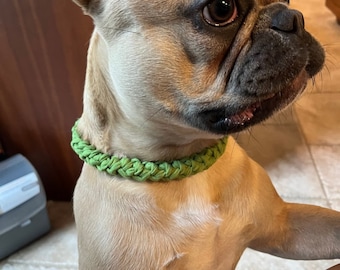 Hundehalsband - Passend zu Handtaschen
