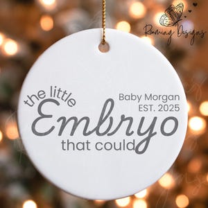 Spersonalizowana ozdoba Mały zarodek, który mógł, niestandardowe nazwisko rok ogłoszenie dziecka, ozdoba niepłodności zapłodnienia in vitro, tęczowe ujawnienie dziecka