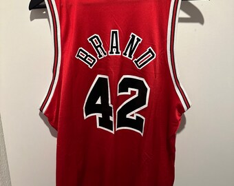 Champion Jersey Chicago Bulls L 44 Vintage NBA Brand 42 Jersey - Etsy