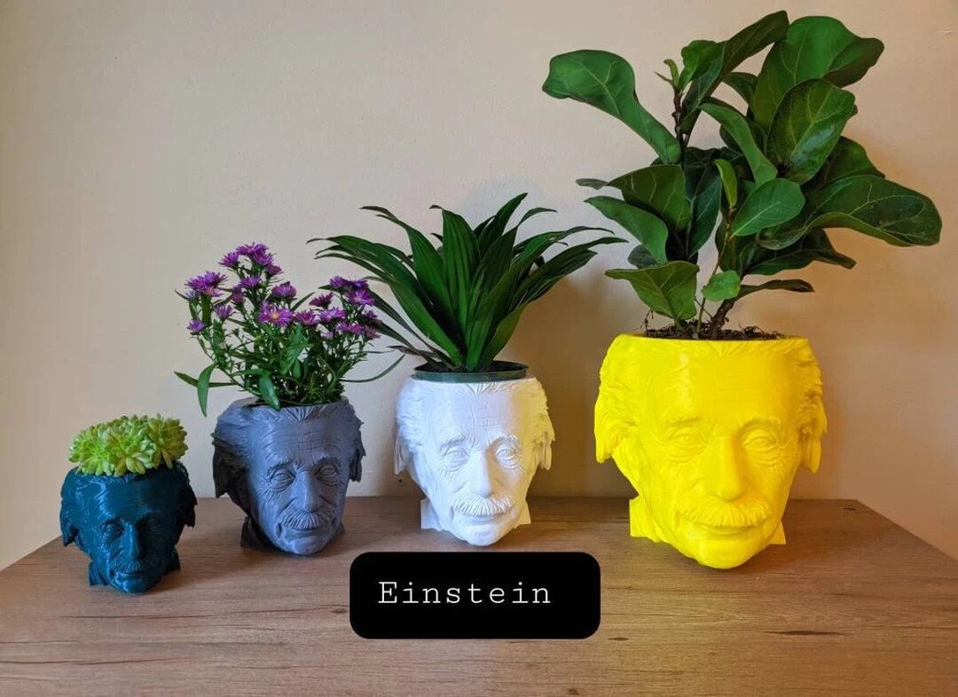 Albert Einstein Head Planter Pot Boho Eclectic Houseplant Succulent