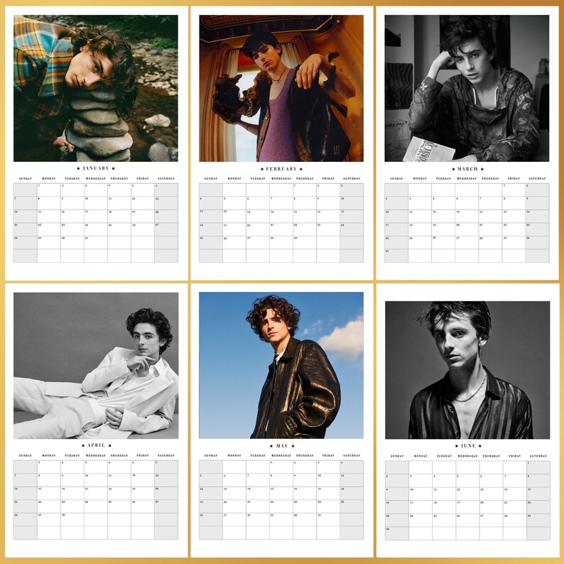 Timothee Chalamet 2024 Calendar / Dune Little Woman Wall Etsy