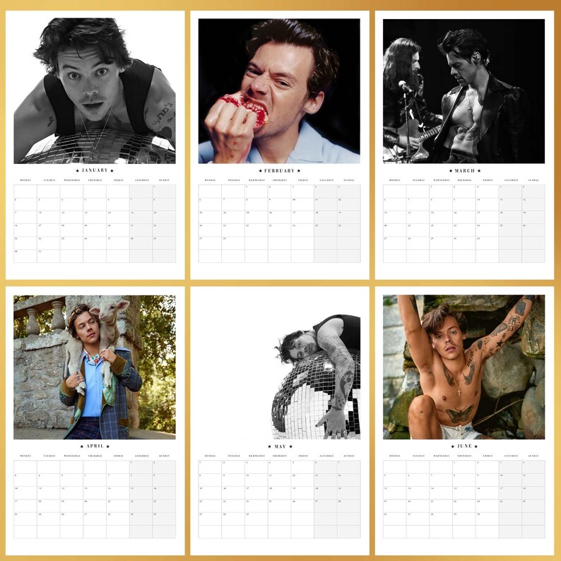 Harry Styles 2023 Calendar Celebrity Calendar Harry s Etsy Canada
