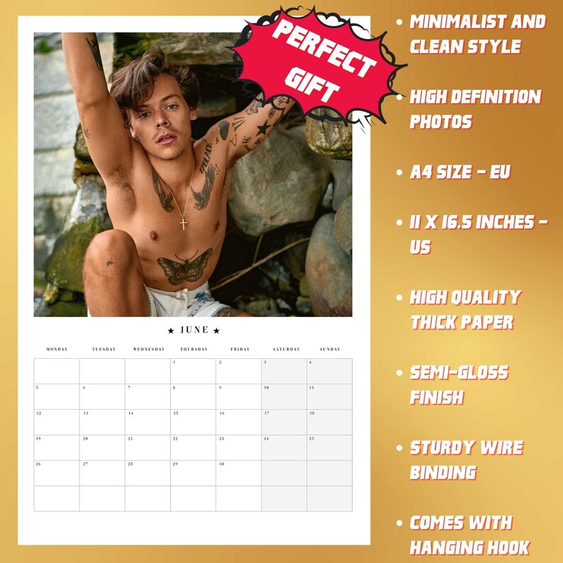 Harry Styles 2023 Calendar Celebrity Calendar Harry s Etsy Australia