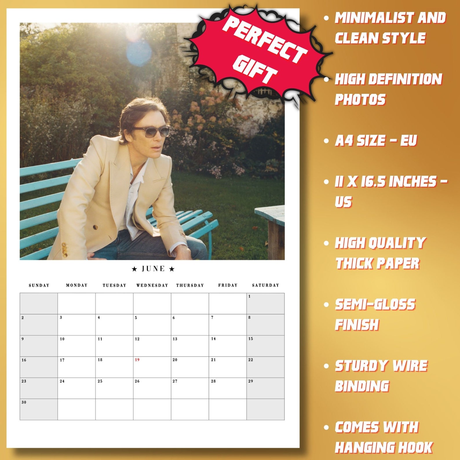 Cillian Murphy 2024 Calendar Celebrity Calendar Etsy