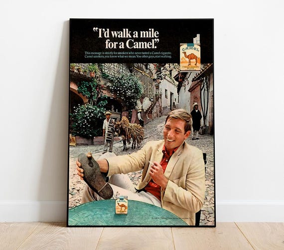 how much is a carton of camel cigarettes at walmart Many Packs Are in Carton? (10 Packs & 200 Cigarettes Explained) Camel Cigarettes Pack DIECUT NEW