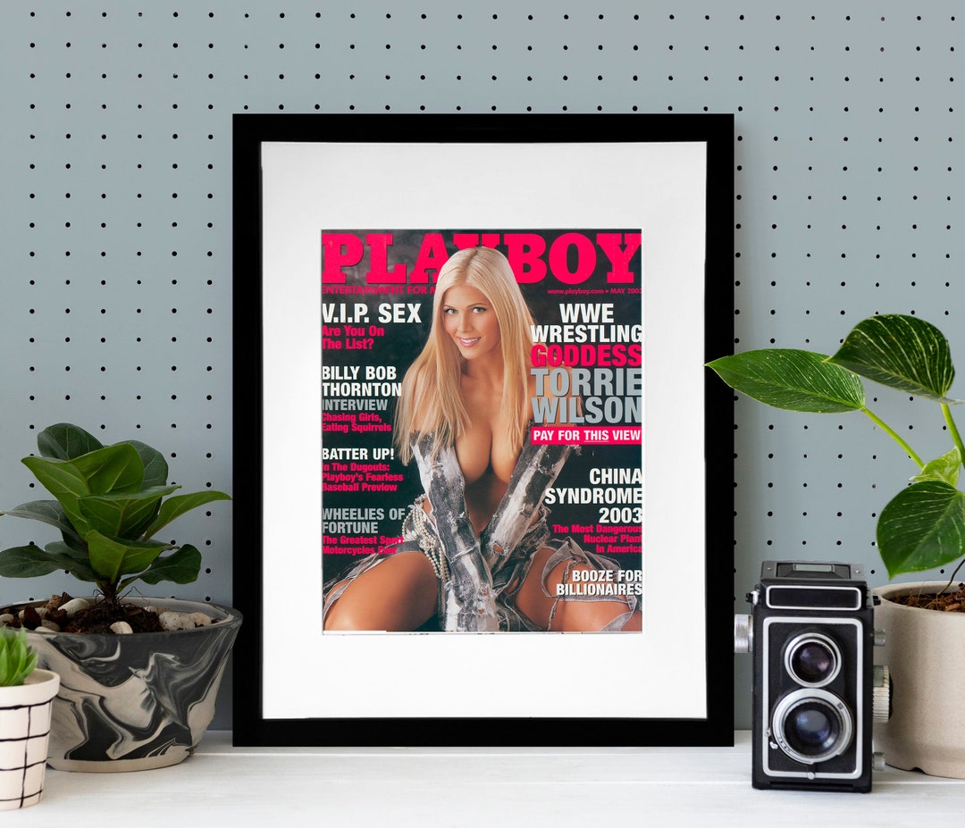 Vintage Playboy Magazine Cover, WWE Torrie Wilson, Framed Art, November