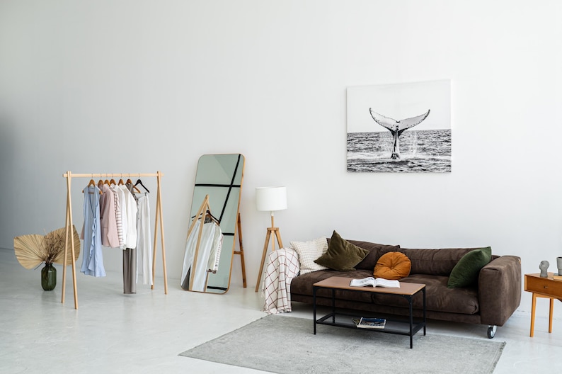 May include: A modern living room with a brown sofa, a wooden clothes rack with various garments, a large mirror, and a black and white whale tail art piece. A wooden lamp and a small table complete the scene.