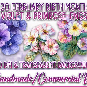 20 Custom February Violet & Primrose Birth Month Flower Clipart PNG Bundle Printable for DIY Crafts, Commercial Use, 300DPI, Transparent