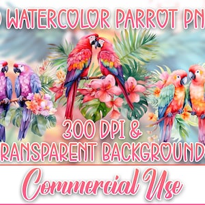 30 Watercolor Parrot PNG Parrot bundle Parrot clipart tropical birds pack for commercial use 300 dpi with transparent background