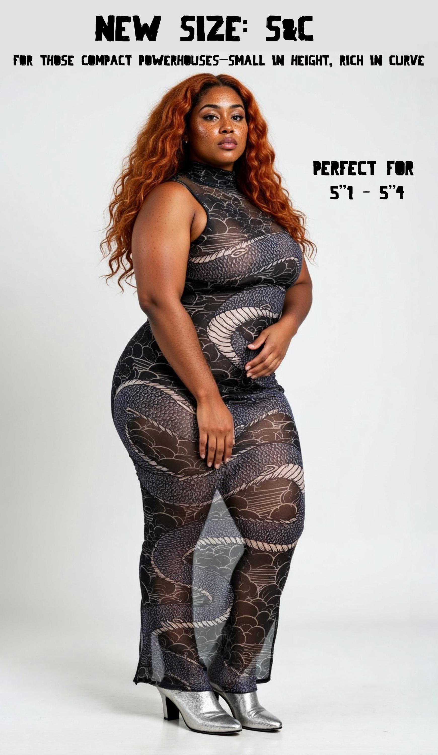 Dragon's Embrace Bodycon Sheer Mesh Dress, Revealing See Through