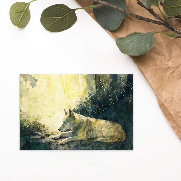 Sleeping White Wolf Postcard - Afternoon Nap Dog Sleepy Forest  Card