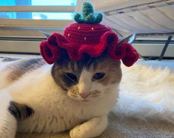 Crochet fruit hat for cats - Watermelon, Strawberry